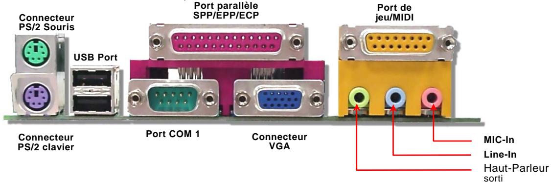 AOPEN MX36L - Le panneau arrière PC99 marqué en couleur - 1