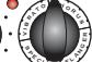 TRAYNOR YS1049 - DG10 - 10w / 8-pouces - 10