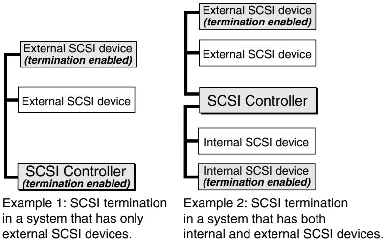 QUANTUM STDX24000N - Connecting the SCSI Interface Cable - 2