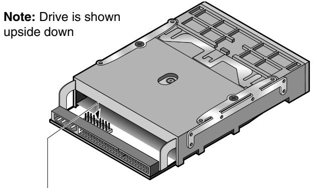 QUANTUM STT220000X - Check additional SCSI options (optional) - 1