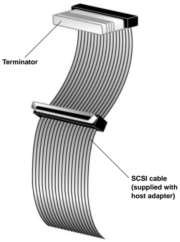 QUANTUM DLT-V4 - Terminating the Internal SCSI Tape Drive - 2