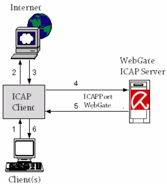 AVIRA ANTIVIR WEBGATE - Scanning Incoming Data Traffic (Response Modification) - 1