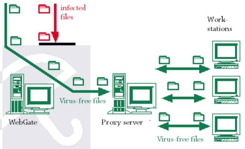 AVIRA ANTIVIR WEBGATE - Product Information - 1