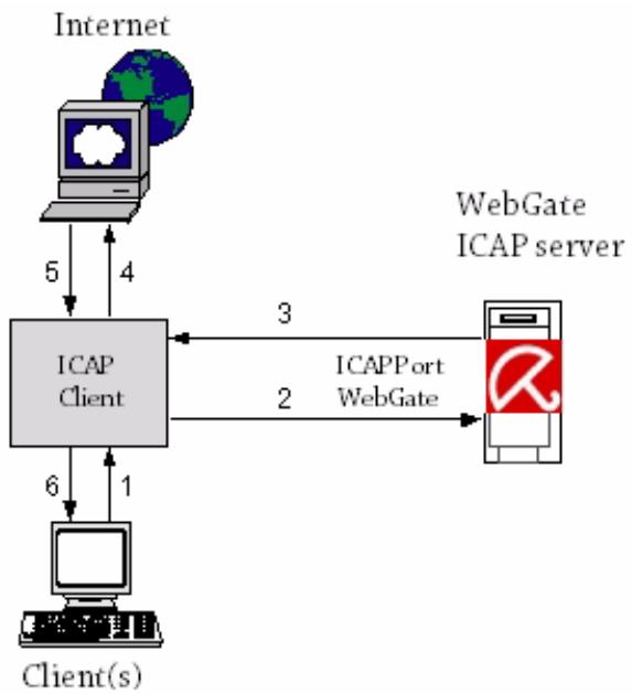 AVIRA ANTIVIR WEBGATE SUITE - Scanning Outgoing Data Traffic (Request Modification) - 1