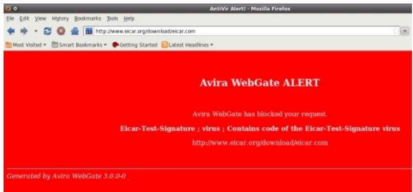 AVIRA ANTIVIR WEBGATE SUITE - Testing Avira AntiVir WebGate with a Test-Virus - 1