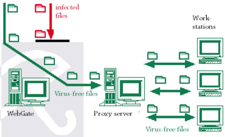 AVIRA ANTIVIR WEBGATE SUITE - Product Information - 1