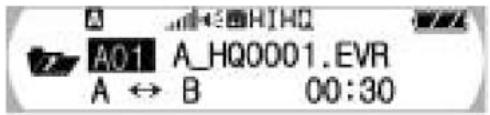 VIETA VPD-1128 - Setting the A-B repeat - 2