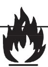 QUADRA FIRE CSTLINS-EU-MBK - Maintenance quotidienne - 1