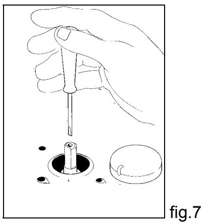 BERTAZZONI P34 5 00 X - - CHANGING THE NOZZLES FOR USE WITH OTHER TYPES OF GAS: - 2