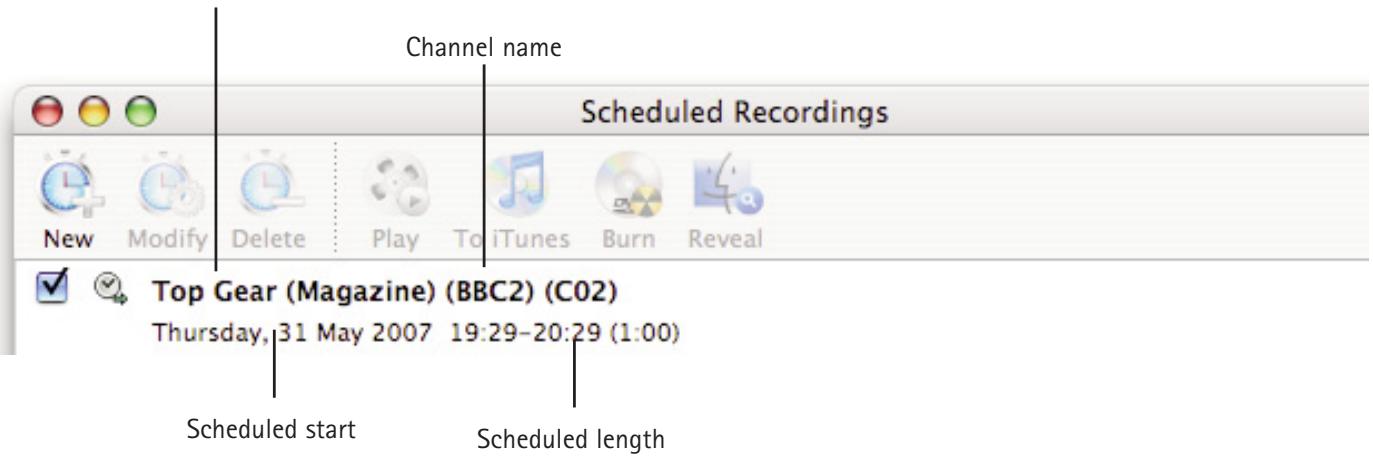 MIGLIA TV - Schedule a recording with MigliaTV - 3
