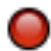 MIGLIA TV - Schedule a recording with MigliaTV - 6