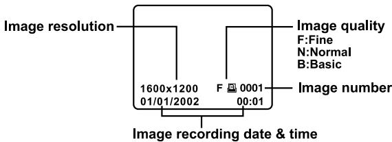 MINOX DC-2122 - 88:88 - 3
