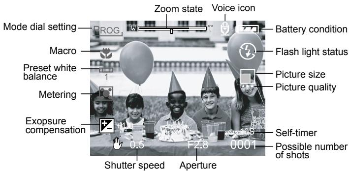 MINOX DC 5211 - LCD Monitor Information - 2