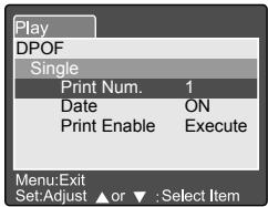 MINOX DC 5211 - Print Information - 2