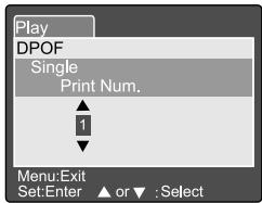 MINOX DC 5211 - Print Information - 3