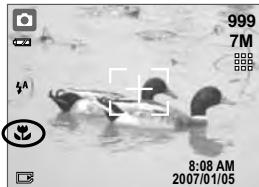 MINOX DC 7411 - Macro Mode - 2