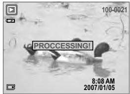 MINOX DC 7411 - Trim A Still Image - 1