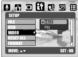 MINOX DC 7411 - SettingVIDEO(Default:NTSC) - 1