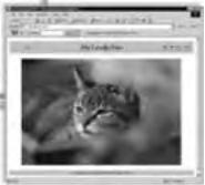 MINOX DC 7411 - Output Web thumbnails and Web slideshows - 2