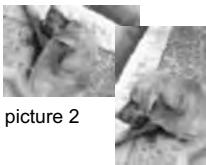 MINOX DC 7411 - Adjust images - 2