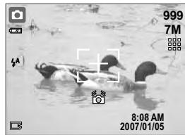 MINOX DC 7411 - Set The Shooting Mode (Default: AUTO) - 3