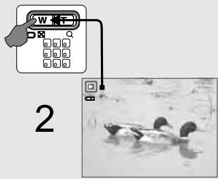 MINOX DC 7411 - Thumbnail Display (Small Images) - 2