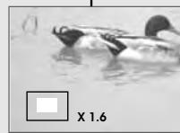 MINOX DC 7411 - Explore A Part Of A Still Image - 3
