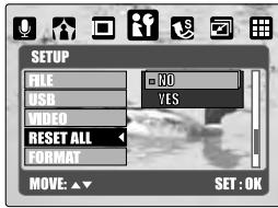 MINOX DC 7411 - Setting RESET(Default:No) - 1