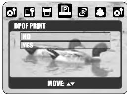 MINOX DC 7411 - DPOF PRINT - 1