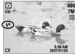 MINOX DC 7411 - Flash MODE - 2