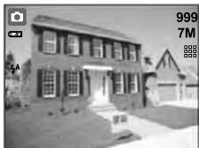 MINOX DC 7411 - Special Notes - 1