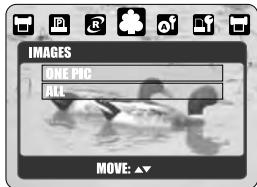 MINOX DC 7411 - >> Select pictures to print - 2