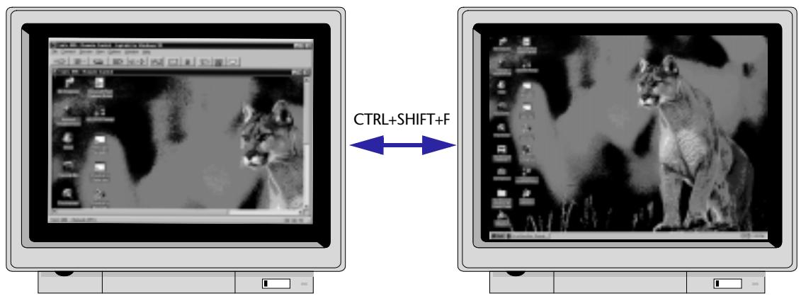 LAPLINK TECH - Viewing the entire host screen at once - 1