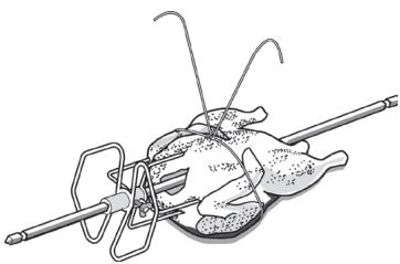 THERMADOR POMW301 - Trussing Poultry for the Rotisserie: - 2