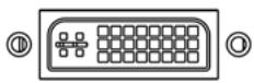 YURAKU YUR.VISION YV19WB1 - Eingangsanschluß - 3