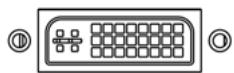 YURAKU YUR.VISION YV19WB1 - Entrée - 3