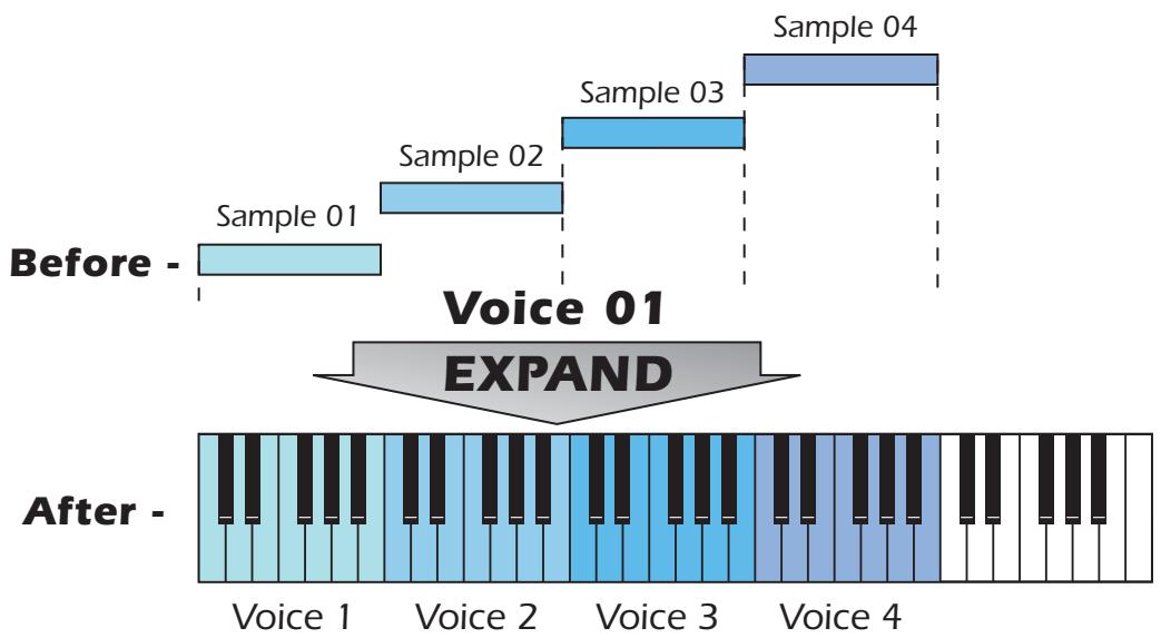 E-MU EMULATOR X3 - Expand Voice - 1