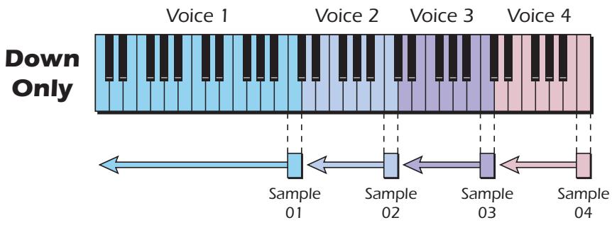 E-MU EMULATOR X3 - Down Only - 1