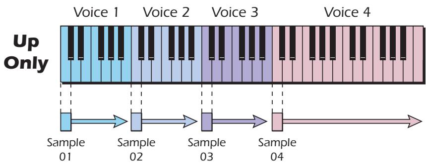 E-MU EMULATOR X3 - Up Only - 1