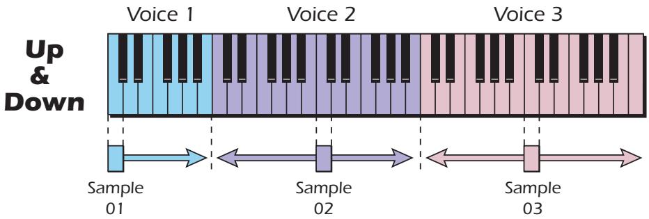 E-MU EMULATOR X3 - Up &amp; Down - 1
