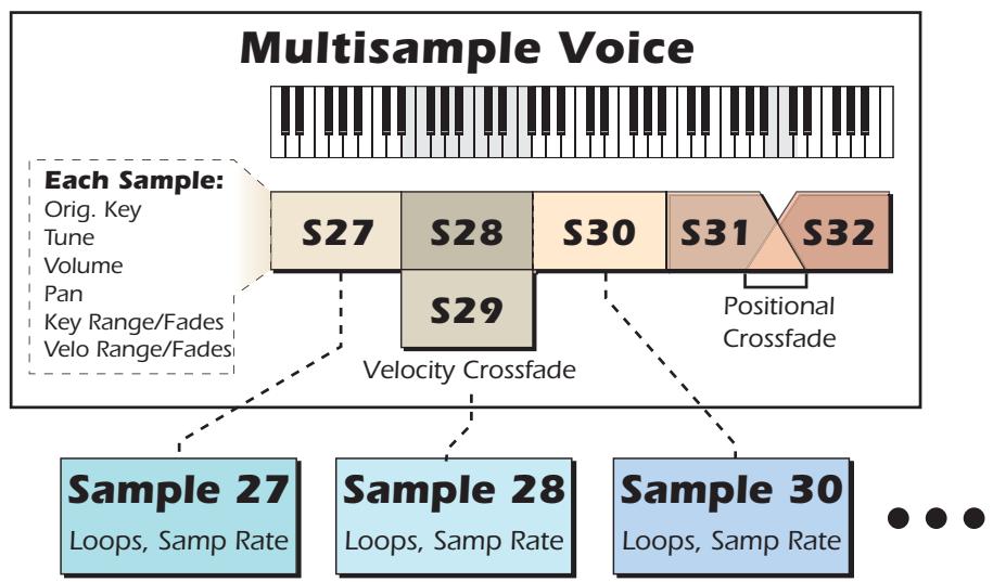E-MU EMULATOR X3 - Multisample Voices - 1