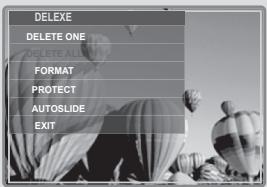 DAITSU DF300 - Menu display under the display mode. - 1