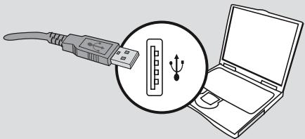 DAITSU DF300 - Completing the related installation procedure - 1
