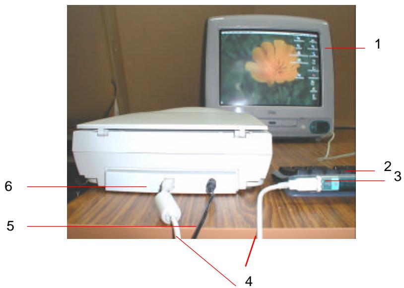AVISION 1200U - CONNECTING THE CABLES - 1