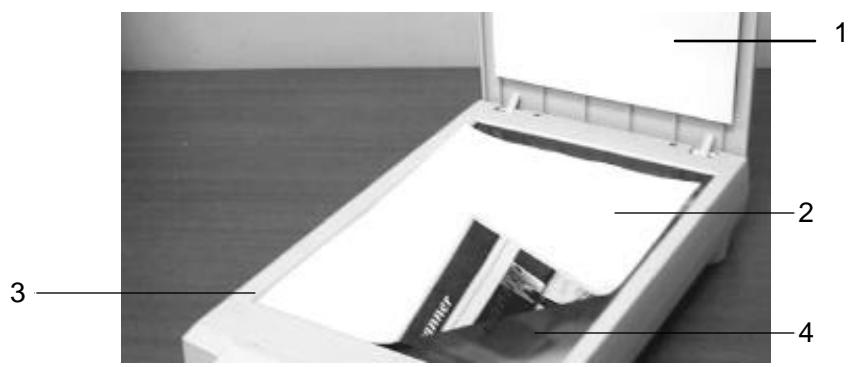 AVISION 1200U - PLACING AN ORIGINAL - 1