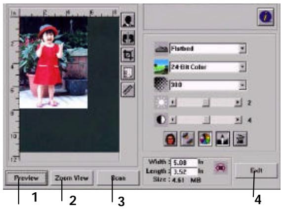 AVISION AV220 - Scanning with image editing software - 4