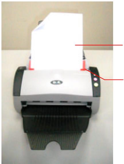 AVISION AV220 - Document feeding - 1