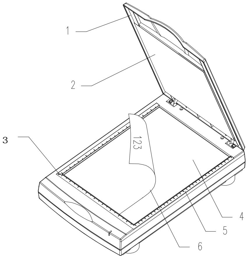 AVISION AV260C - Document Placement - 1