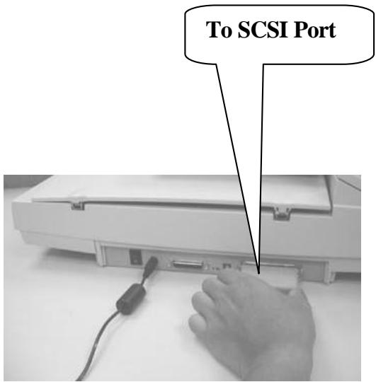 AVISION AV3600 - iii). SCSI Termination - 3