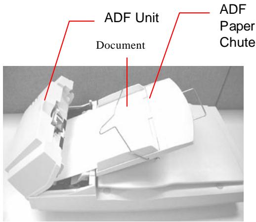 AVISION AV3600 - PAPER JAM IN THE ADF - 1